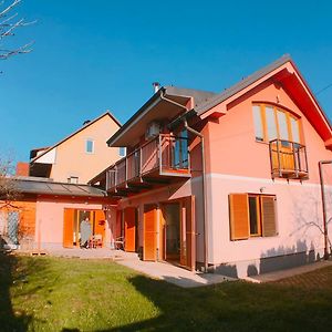 Buzahouse